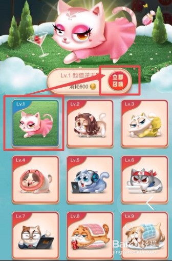 淘宝合猫猫快速升级攻略