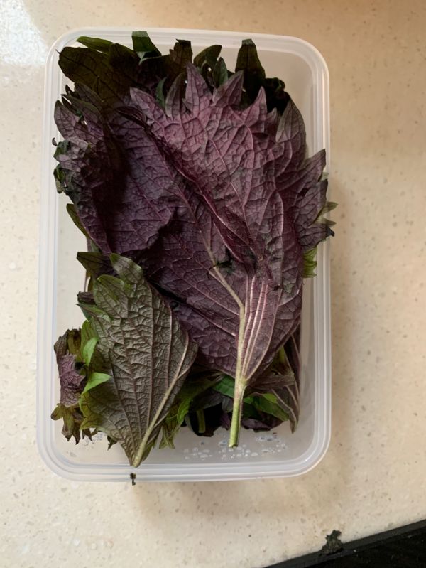 莲藕花生玉米猪脚汤