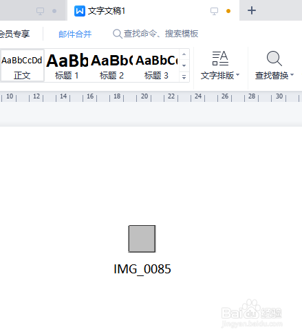多张图片插入Wrod/WPS文档,并添加对应图片命名