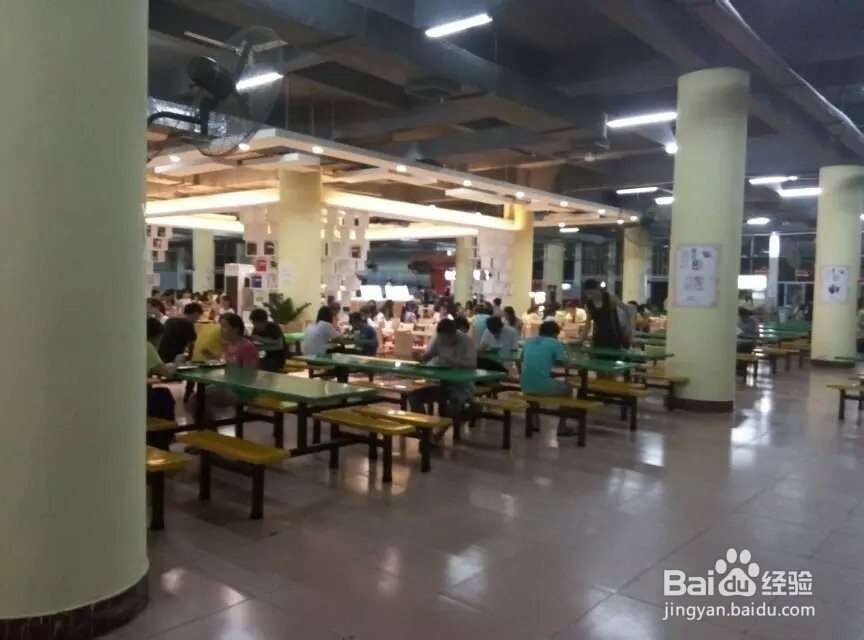 游玩--广东理工职业学院