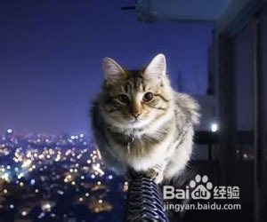 12星座致富障碍在哪里?