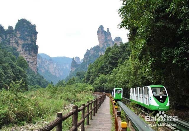 沈阳到张家界旅游攻略