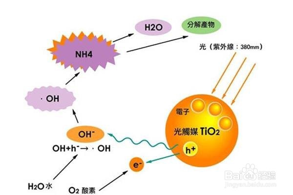 新家入住除甲醛方法大揭秘!