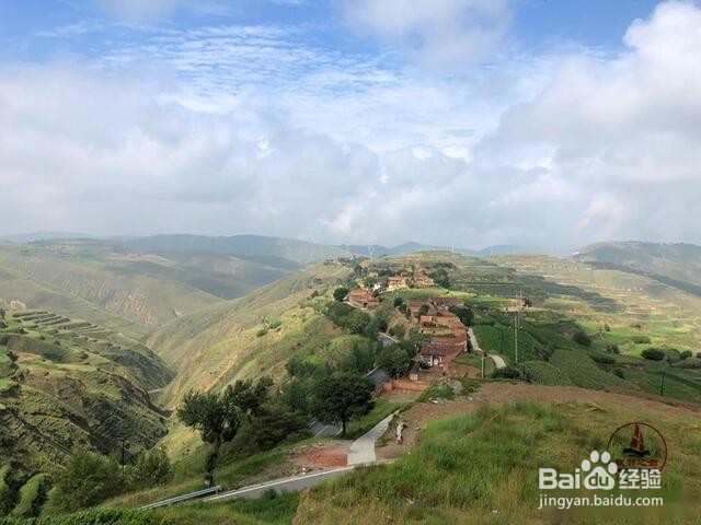 甘南格桑花草原旅游怎么样