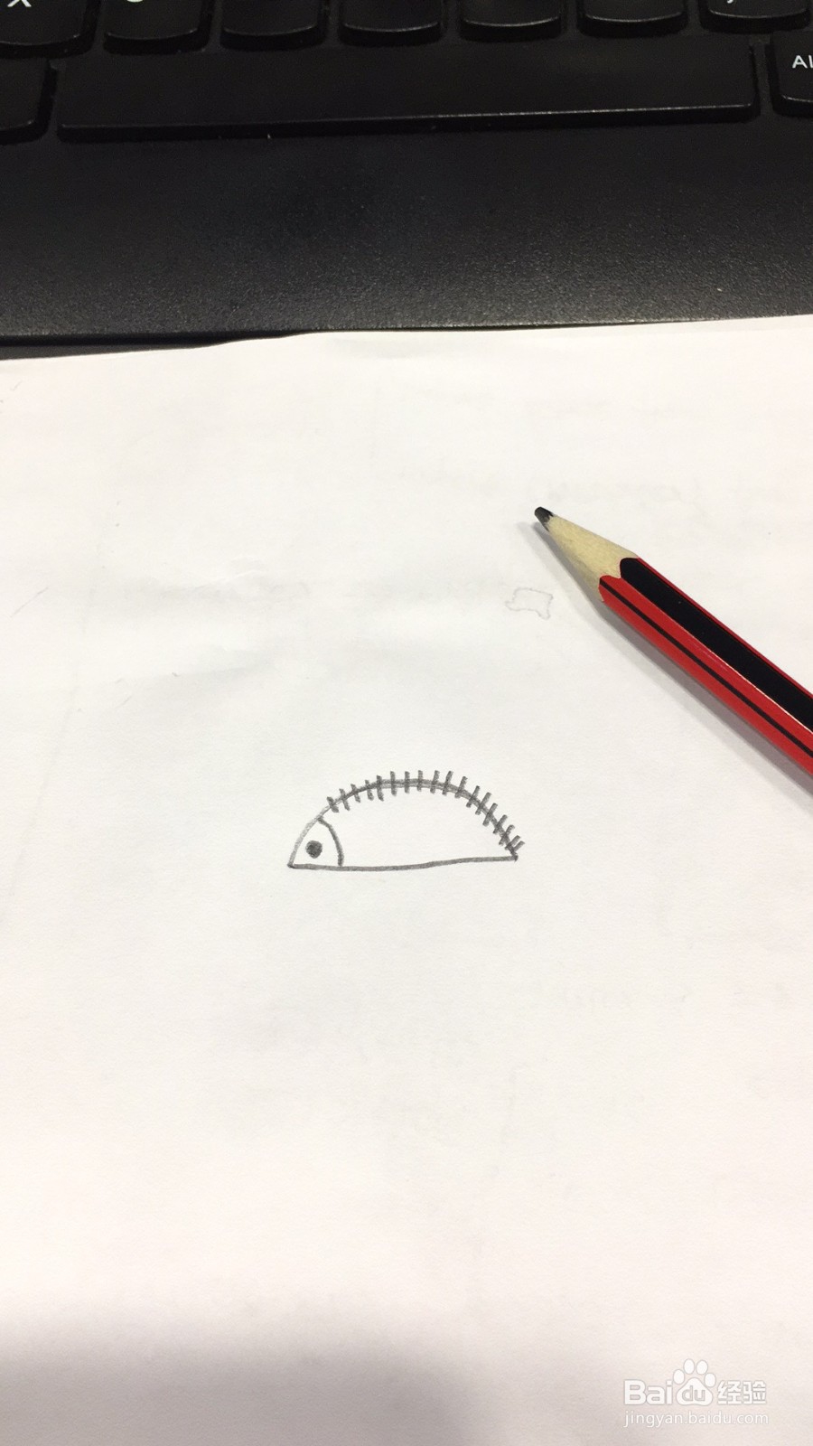 可爱刺猬的简笔画画法