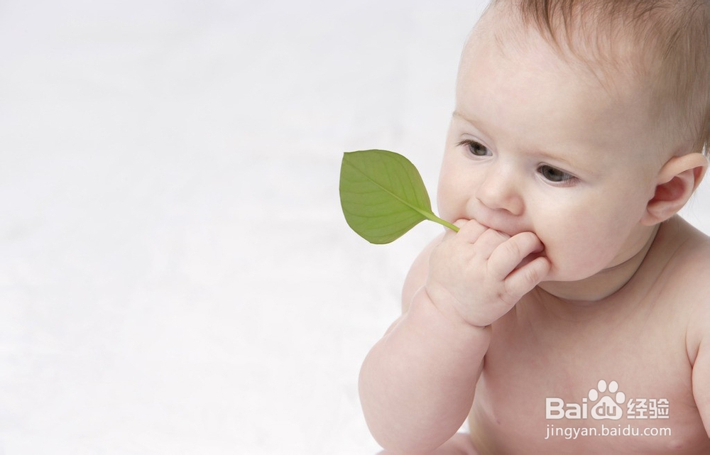 孩子教育的基本准则