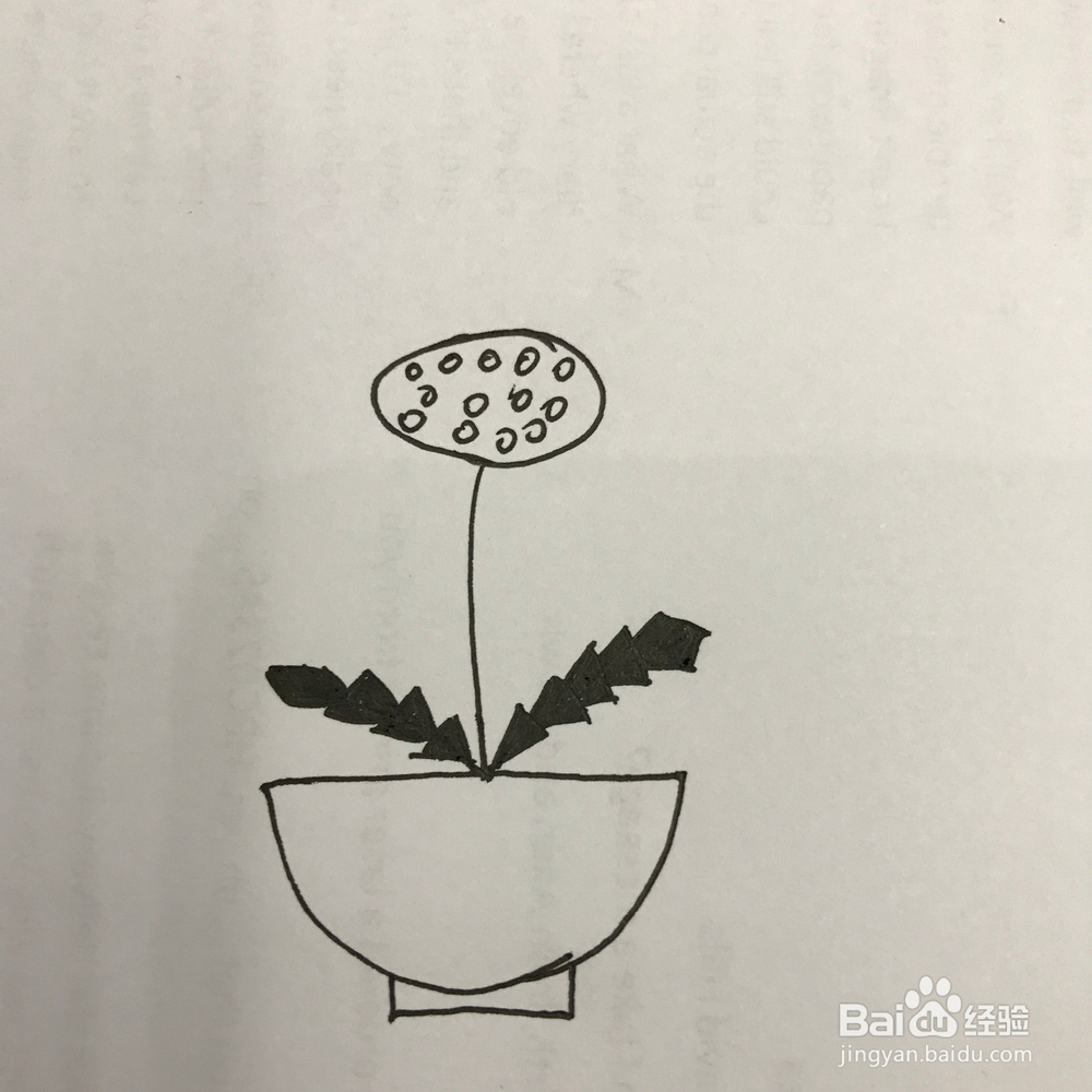 如何画好小清新蒲公英