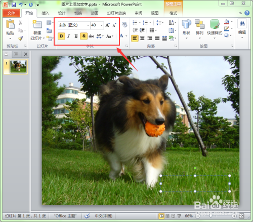 如何在幻灯片的图片中添加文字