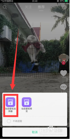 如何将抖音的小视频设置为手机动态壁纸