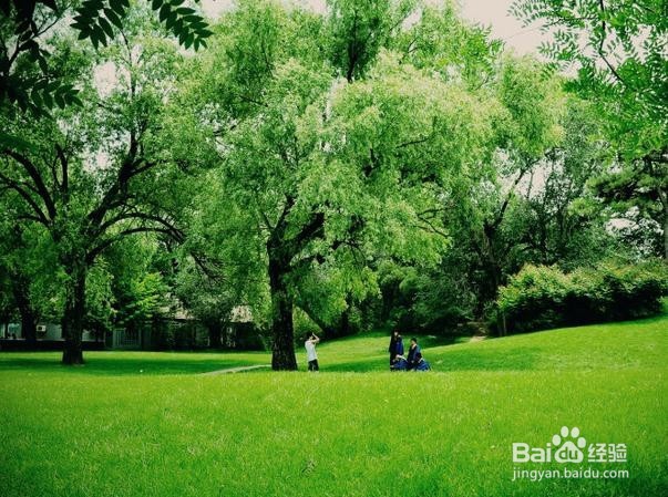 大学生活怎么过?