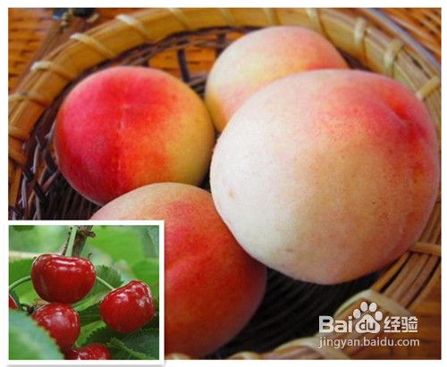 怎样能快速的把气血补起来