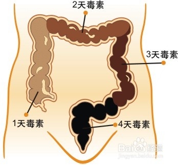 教你如何清肠，教你早晨清肠、除口臭、色斑