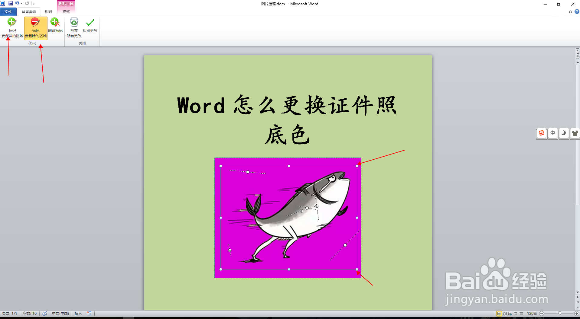 Word怎么更换证件照底色