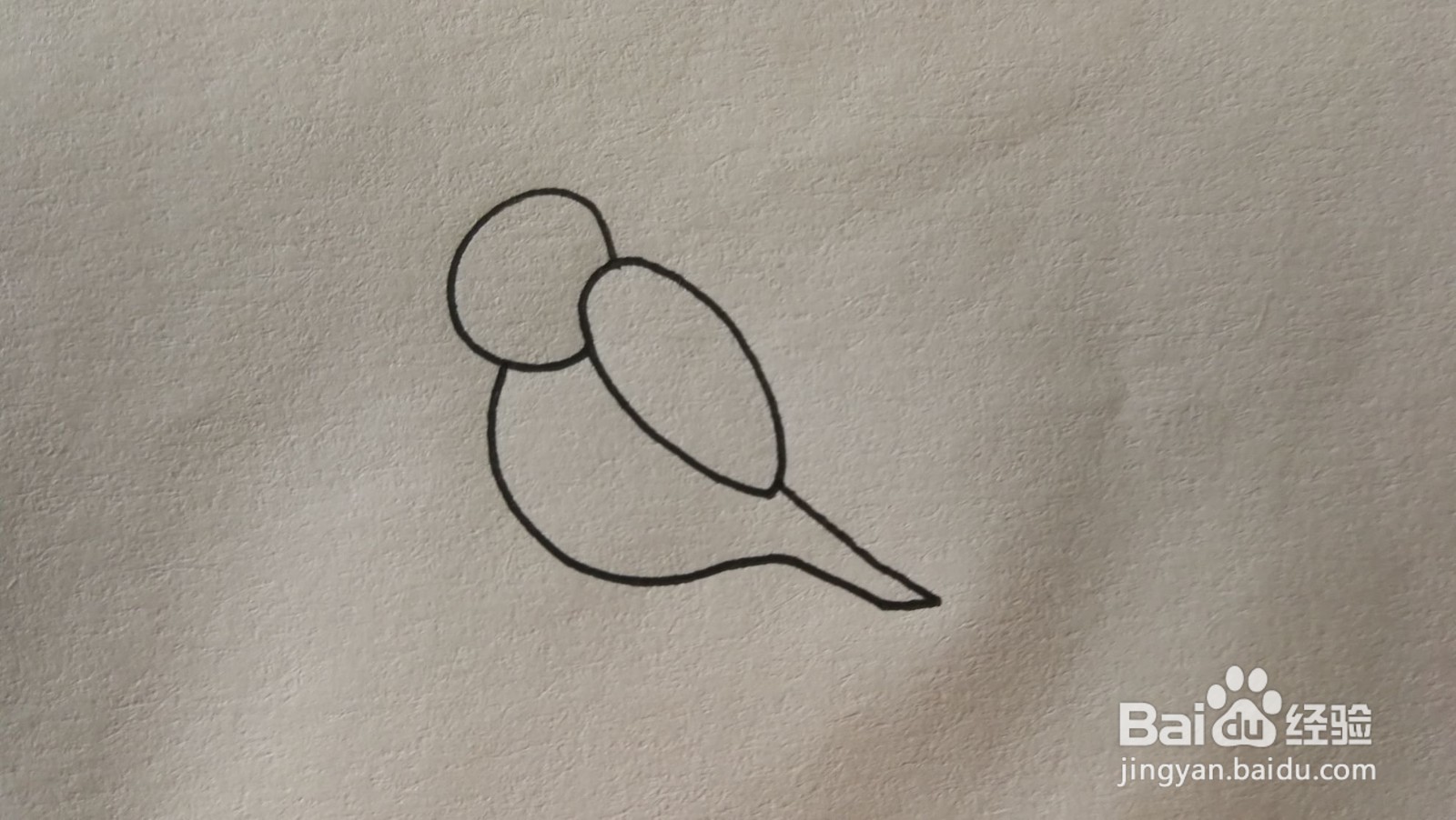 #经验分享官#小鸟简笔画