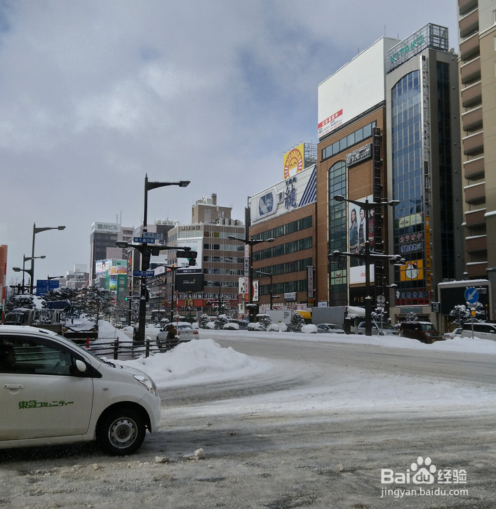 一条性价比爆棚的万元以下日本北海道观雪路线