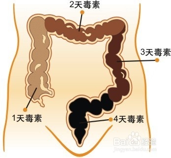 冬天如何防止便秘清肠除口臭除痘祛色斑大肚子
