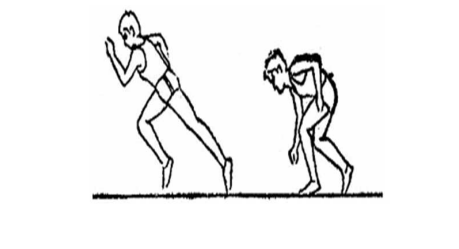 马太效应怎么办