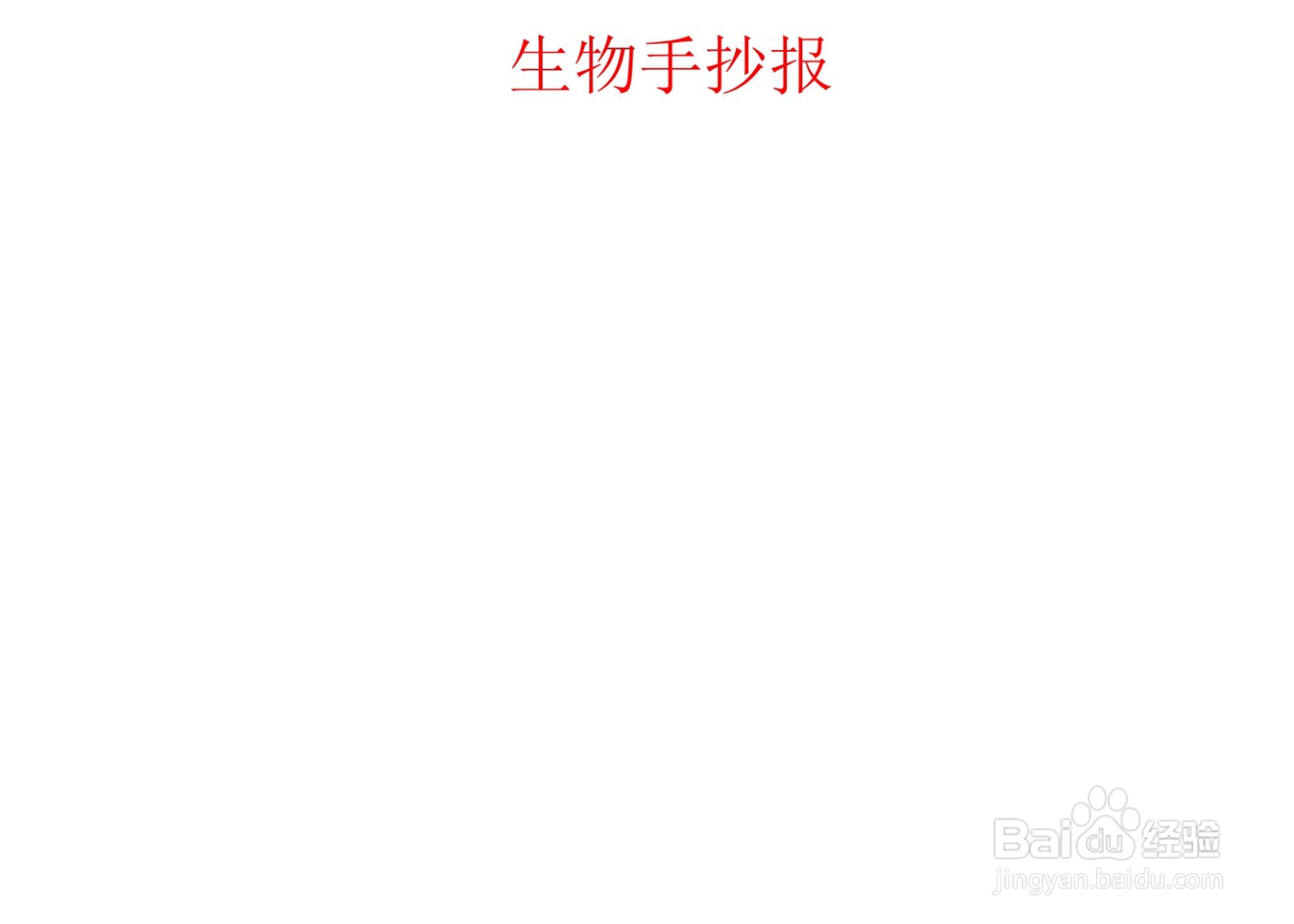 生物手抄报高中