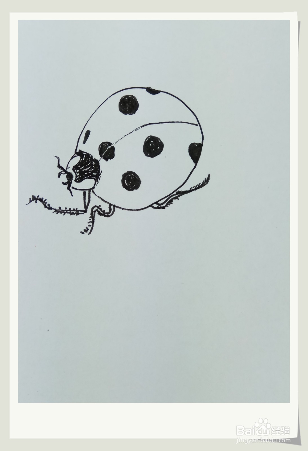 怎样画简笔画“小小七星瓢虫”