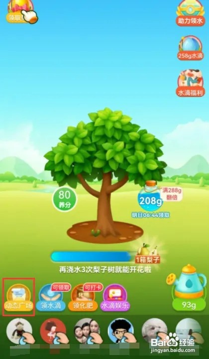 多多果园怎样查看动态广场