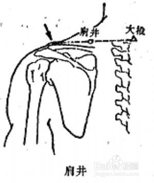 预防感冒侵袭的方法