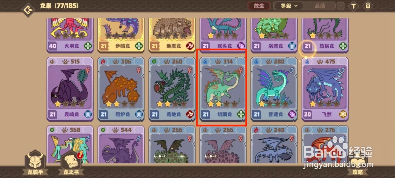 驯龙高手旅程怎么将切雨龙升级直40级？