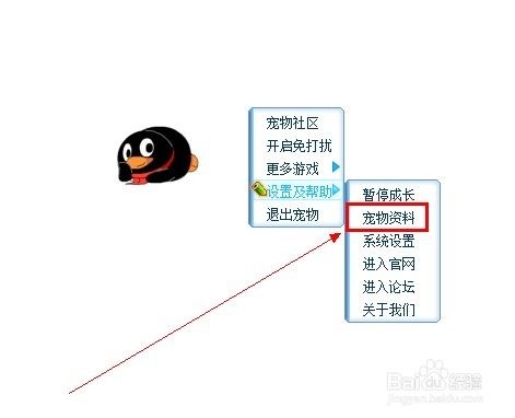 怎样查看QQ宠物的等级