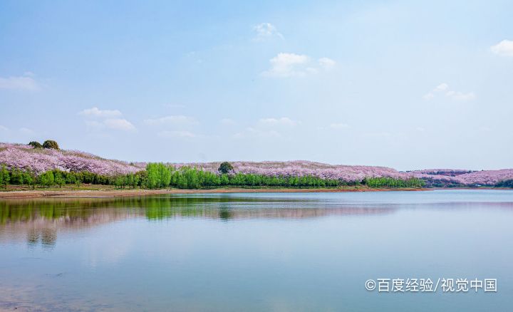 平坝有什么好玩的景点
