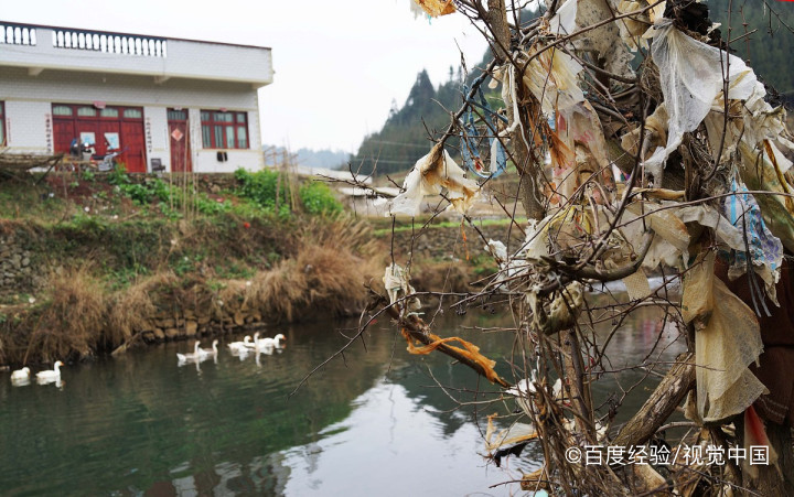 平坝有什么好玩的景点