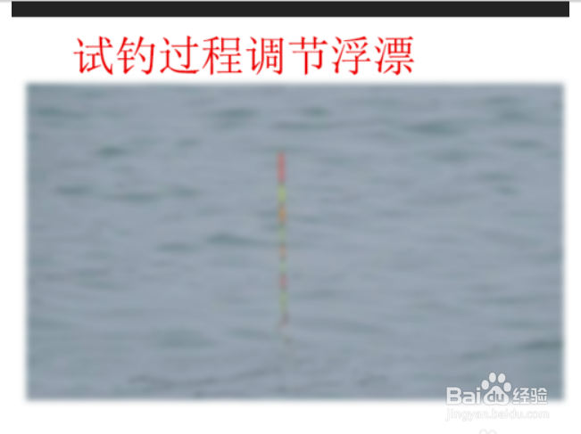 钓大鱼怎么调漂好