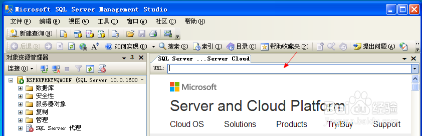如何在SQL2008里面上网