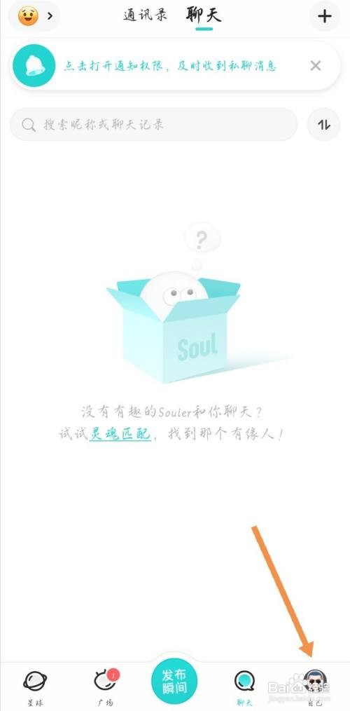 soul如何查看自己的守护挂件