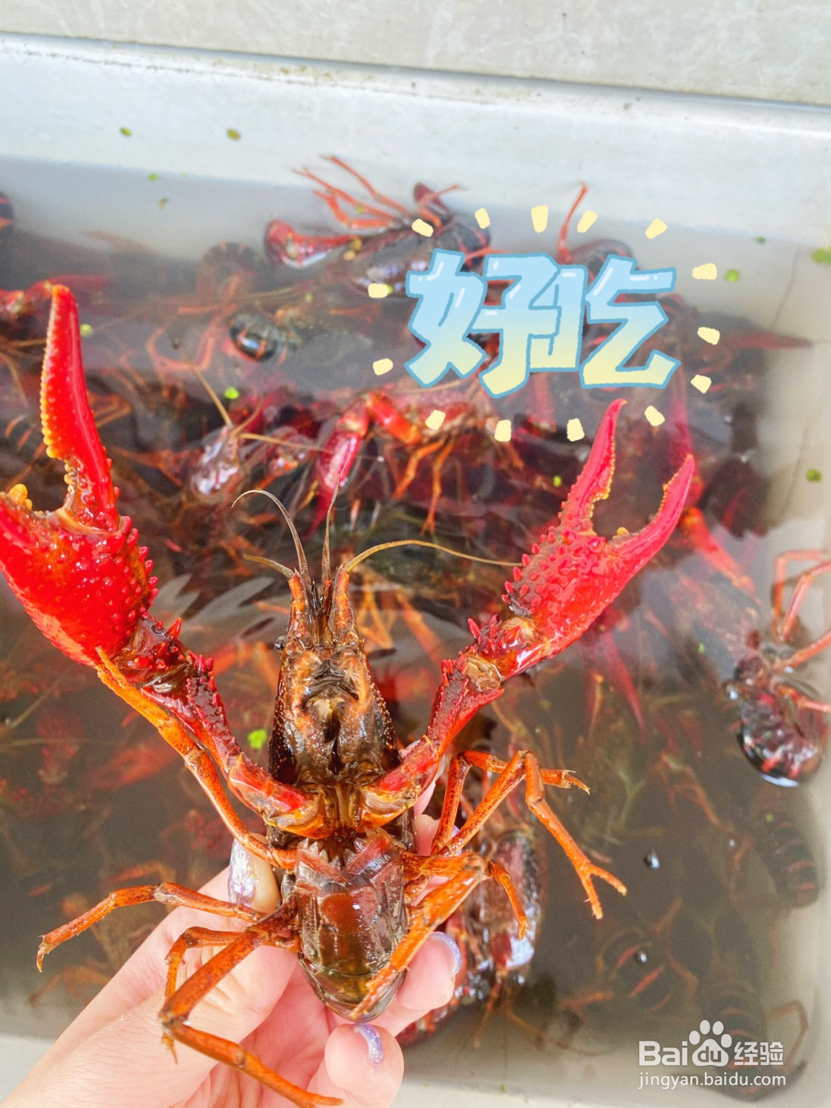 麻辣小龙虾的做法