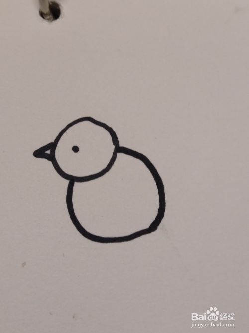 怎么画简笔画卡通动物简约版之小鸡