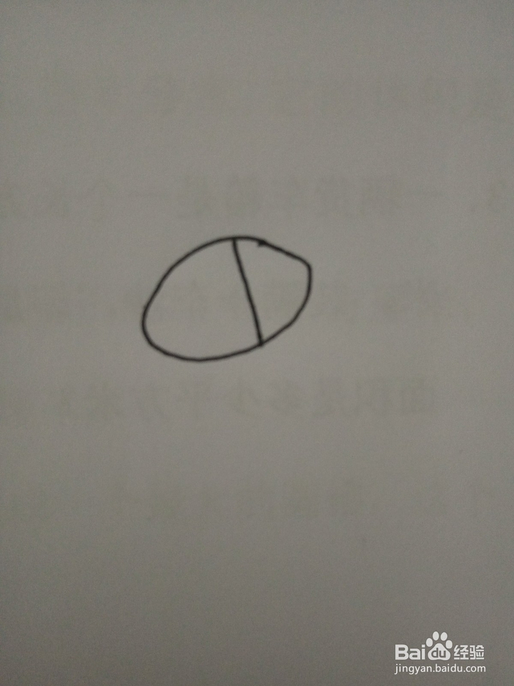 简笔画动物篇之毛驴