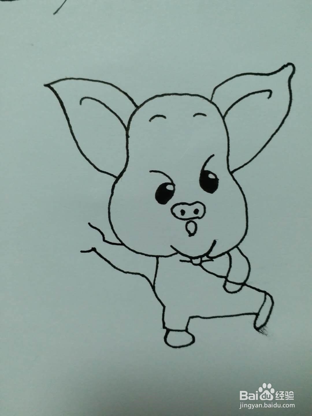 小猪的简笔画法