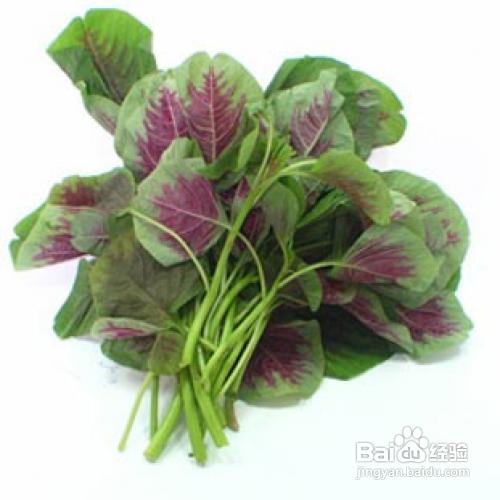 哪些食物可以补铁