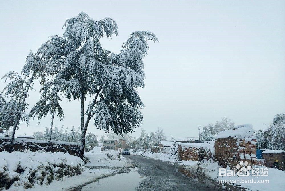 冬天水管为什么会冻裂？