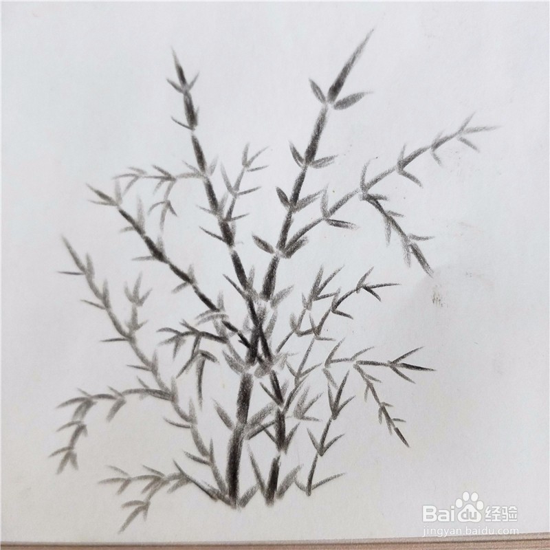 怎么画竹子的简笔画？