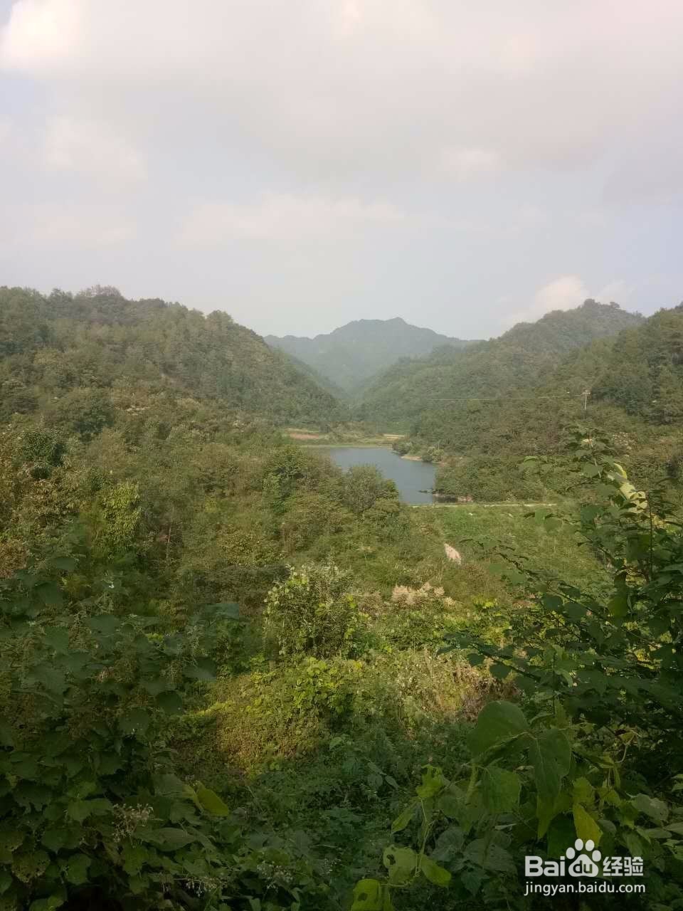 田云青老师旅游景观册编辑方法