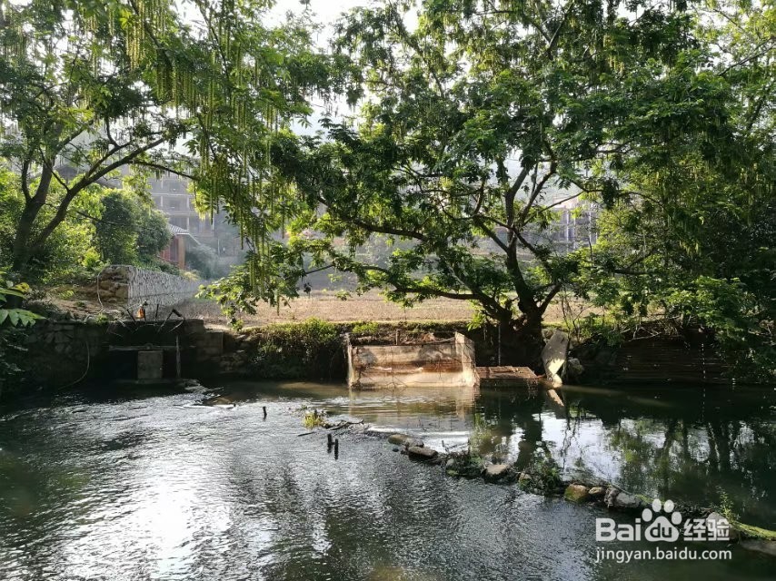 世外桃源—坝美旅游攻略