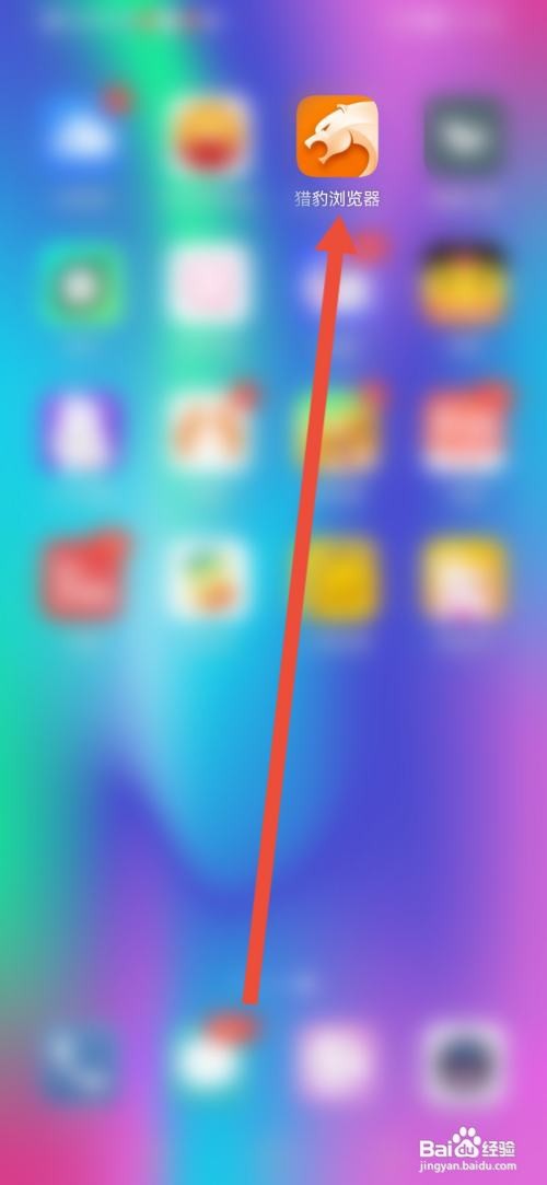 怎么使用猎豹浏览器APP恢复默认设置