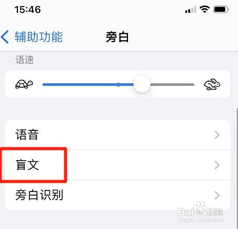 苹果手机旁白八点式盲文如何输出