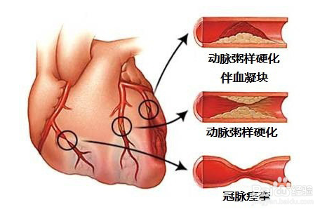 律动有用吗？律动的作用？