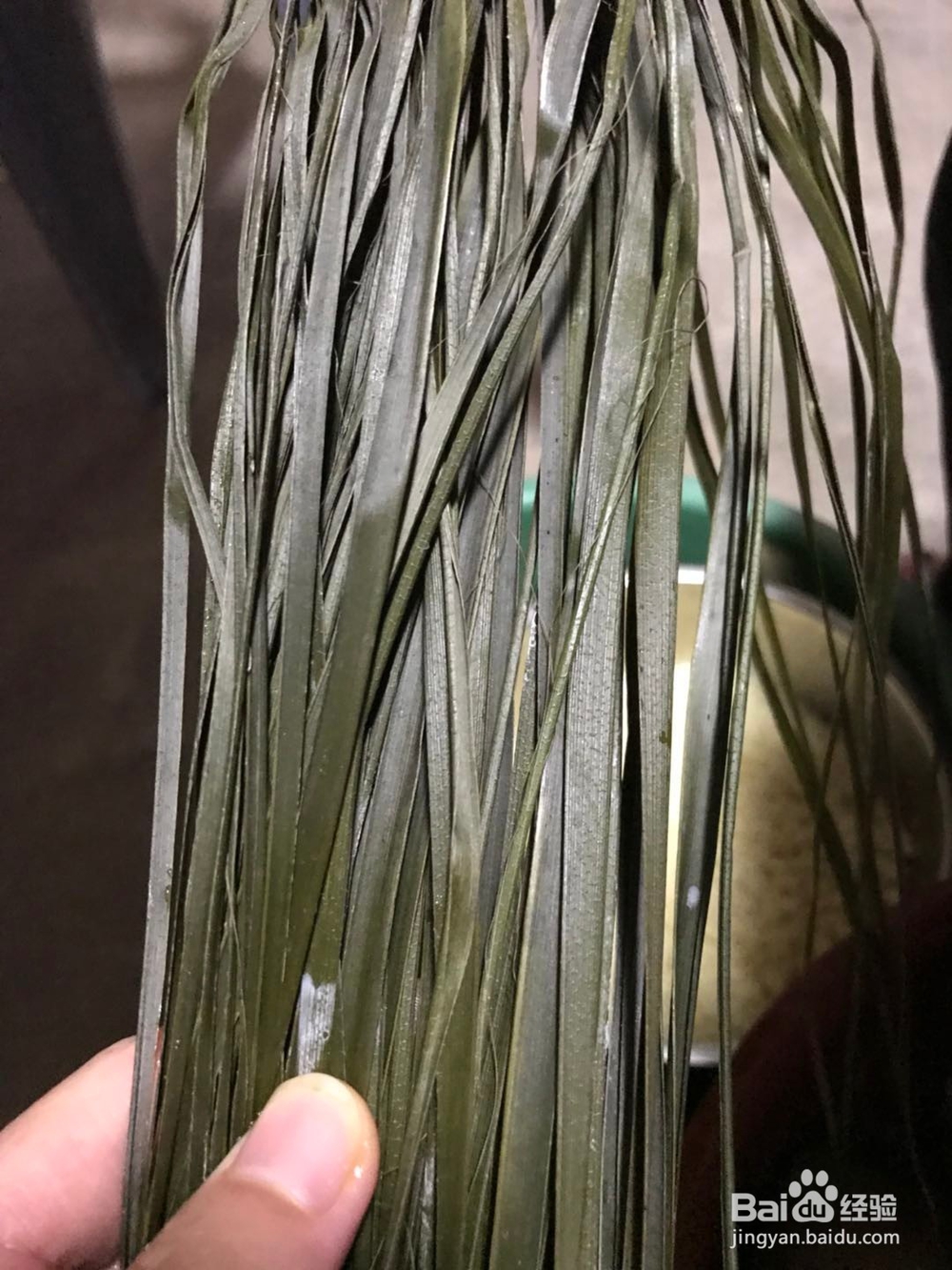 妈妈包的粽子,才是端午节的味道