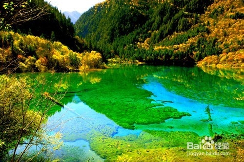 诚品旅游让你知道九寨沟的水是多么的美