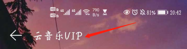 网易云音乐如何赠送黑胶会员