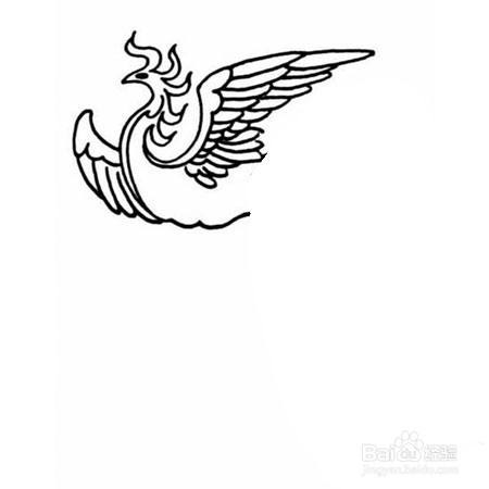 不死鸟的简笔画