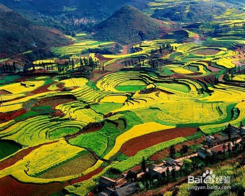 重庆到罗平旅游攻略