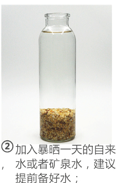 泰国斗鱼创意水族迷你生态瓶制作图文教程